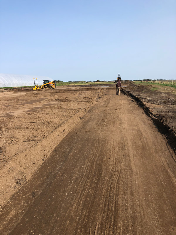 Paved dirt road site prep